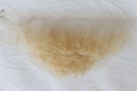 blonde vaginal hair